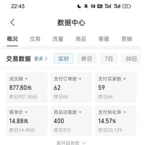 拼多多虚拟U盘电商红利项目:月赚2万+,新手小白也能玩|淘骐网赚资源库