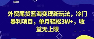 外贸尾货蓝海变现新玩法,冷门暴利项目,单月轻松3W+,收益无上限【揭秘】|淘骐网赚资源库