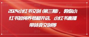 2024小红书文创(第三期),教你小红书如何养号和开店,小红书直播带货卖文创等|淘骐网赚资源库