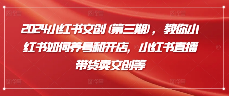 2024小红书文创(第三期),教你小红书如何养号和开店,小红书直播带货卖文创等|淘骐网赚资源库