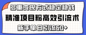 精准项目粉高效引流术，新手单日引流50+，多重变现方式稳定赚钱【揭秘】|淘骐网赚资源库