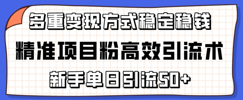 精准项目粉高效引流术,新手单日引流50+,多重变现方式稳定赚钱【揭秘】|淘骐网赚资源库