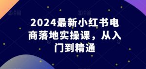 2024最新小红书电商落地实操课，从入门到精通|淘骐网赚资源库