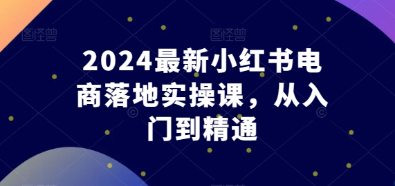 2024最新小红书电商落地实操课,从入门到精通|淘骐网赚资源库
