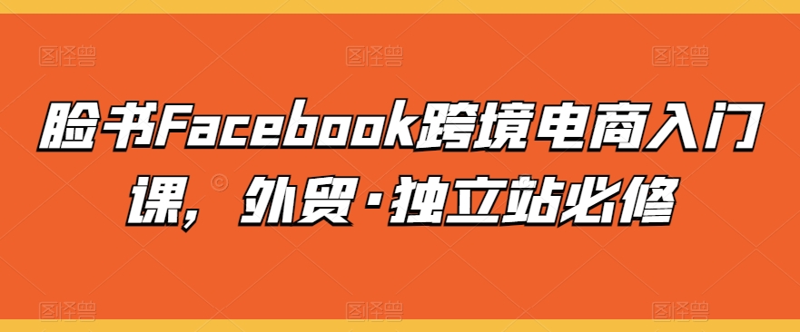 脸书Facebook跨境电商入门课,外贸·独立站必修|淘骐网赚资源库