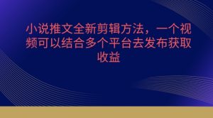 小说推文全新剪辑方法，一个视频可以结合多个平台去发布获取【揭秘】|淘骐网赚资源库