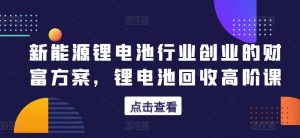新能源锂电池行业创业的财富方案，锂电池回收高阶课|淘骐网赚资源库