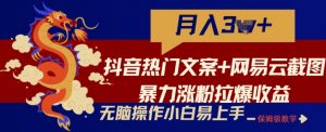 抖音热门文案+网易云截图暴力涨粉拉爆收益玩法，小白无脑操作，简单易上手【揭秘】|淘骐网赚资源库