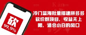冷门蓝海批量搭建拼多多砍价群项目,收益无上限,适合小白的风口【揭秘】|淘骐网赚资源库