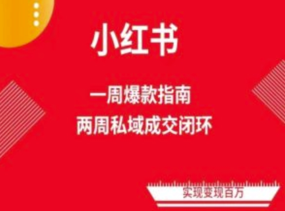 爆款小红书免费流量体系课程(两周变现),小红书电商教程|淘骐网赚资源库