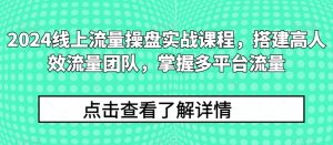 2024线上流量操盘实战课程,搭建高人效流量团队,掌握多平台流量|淘骐网赚资源库