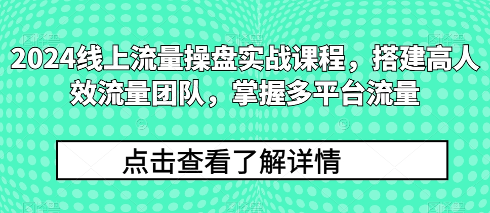 2024线上流量操盘实战课程,搭建高人效流量团队,掌握多平台流量|淘骐网赚资源库