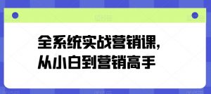 全系统实战营销课，从小白到营销高手|淘骐网赚资源库