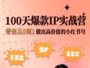 小红书100天爆款IP实战营,带你从0到1做出高价值的小红书号|淘骐网赚资源库