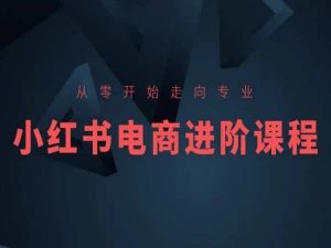 从零开始走向专业,小红书电商进阶课程|淘骐网赚资源库