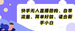 快手无人直播团购，自带流量，简单好做，适合新手小白【揭秘】|淘骐网赚资源库