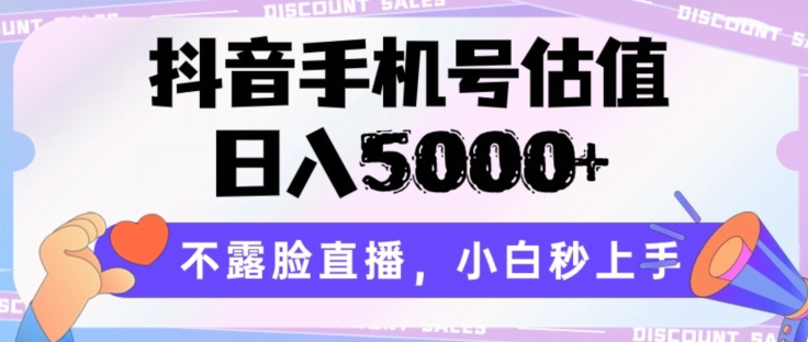 抖音手机号估值,日入5000+,不露脸直播,小白秒上手【揭秘】|淘骐网赚资源库