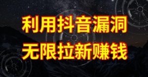 利用抖音链接漏洞，无限拉新赚钱【漏洞原理+操作流程】【揭秘】|淘骐网赚资源库