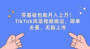 零基础也能月入上w，TikTok风景视频搬运，简单去重，无脑上传【揭秘】|淘骐网赚资源库