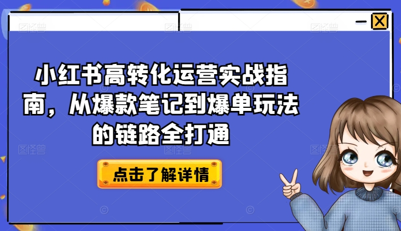 小红书高转化运营实战指南，从爆款笔记到爆单玩法的链路全打通|淘骐网赚资源库