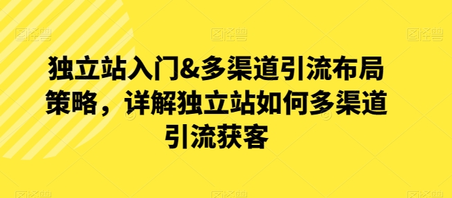 独立站入门&多渠道引流布局策略，详解独立站如何多渠道引流获客|淘骐网赚资源库
