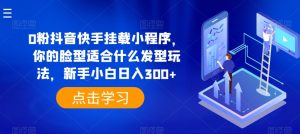 0粉抖音快手挂载小程序,你的脸型适合什么发型玩法,新手小白日入300+【揭秘】|淘骐网赚资源库