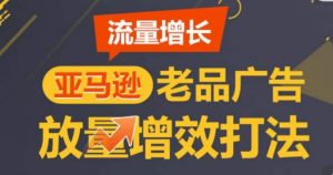 亚马逊流量增长-老品广告放量增效打法,循序渐进,打造更多TOP listing|淘骐网赚资源库