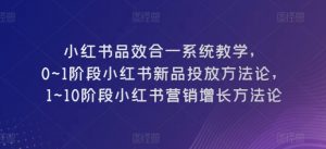 小红书品效合一系统教学,0~1阶段小红书新品投放方法论,1~10阶段小红书营销增长方法论|淘骐网赚资源库