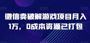 微信卖破解游戏项目月入1万，0成本资源已打包【揭秘】|淘骐网赚资源库