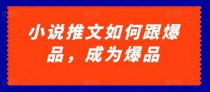 小说推文如何跟爆品，成为爆品【揭秘】|淘骐网赚资源库
