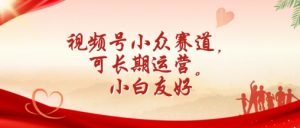 视频号小众赛道,可长期运营,小白友好【揭秘】|淘骐网赚资源库
