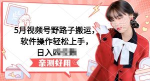 5月视频号野路子搬运,软件操作轻松上手,日入三位数【揭秘】|淘骐网赚资源库