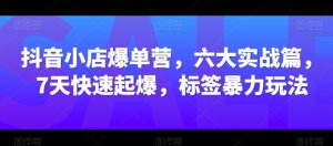 抖音小店爆单营,六大实战篇,7天快速起爆,标签暴力玩法|淘骐网赚资源库