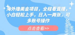 海外撸美金项目，全程看直播，小白轻松上手，日入一两张，可多账号操作【揭秘】|淘骐网赚资源库