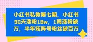 小红书私教第七期，小红书90天涨粉18w，1周涨粉破万，半年矩阵号粉丝破百万|淘骐网赚资源库