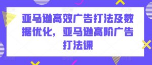 亚马逊高效广告打法及数据优化，亚马逊高阶广告打法课|淘骐网赚资源库