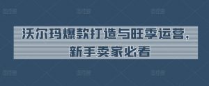 沃尔玛爆款打造与旺季运营，新手卖家必看|淘骐网赚资源库