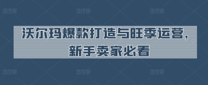 沃尔玛爆款打造与旺季运营，新手卖家必看|淘骐网赚资源库