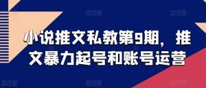 小说推文私教第9期，推文暴力起号和账号运营|淘骐网赚资源库
