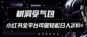 小红书等全平台树洞受气包项目,轻松日入一两张【揭秘】|淘骐网赚资源库
