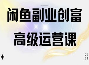 闲鱼电商运营高级课程，一部手机学会闲鱼开店赚钱|淘骐网赚资源库