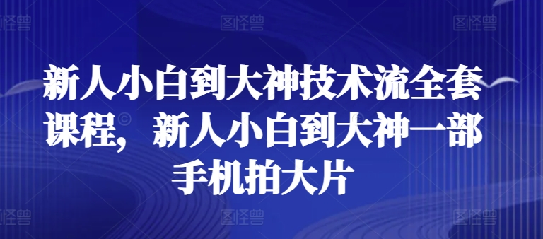 新人小白到大神技术流全套课程，新人小白到大神一部手机拍大片|淘骐网赚资源库