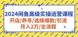 2024闲鱼高级实操运营课程：开店/养号/选择爆款/引流/月入2万/全流程|淘骐网赚资源库
