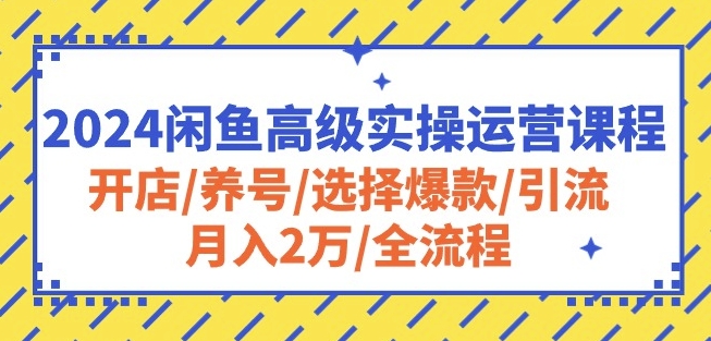 2024闲鱼高级实操运营课程：开店/养号/选择爆款/引流/月入2万/全流程|淘骐网赚资源库