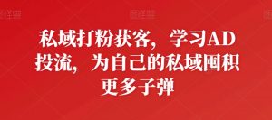 私域打粉获客,学习AD投流,为自己的私域囤积更多子弹|淘骐网赚资源库