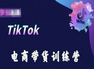 TikTok电商带货训练营，跟随时代潮流，跨境掘金|淘骐网赚资源库