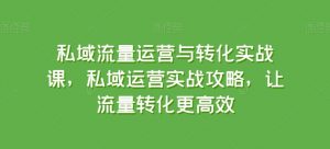 私域流量运营与转化实战课，私域运营实战攻略，让流量转化更高效|淘骐网赚资源库