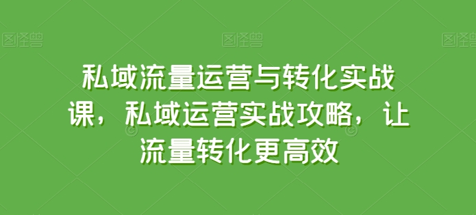 私域流量运营与转化实战课，私域运营实战攻略，让流量转化更高效|淘骐网赚资源库