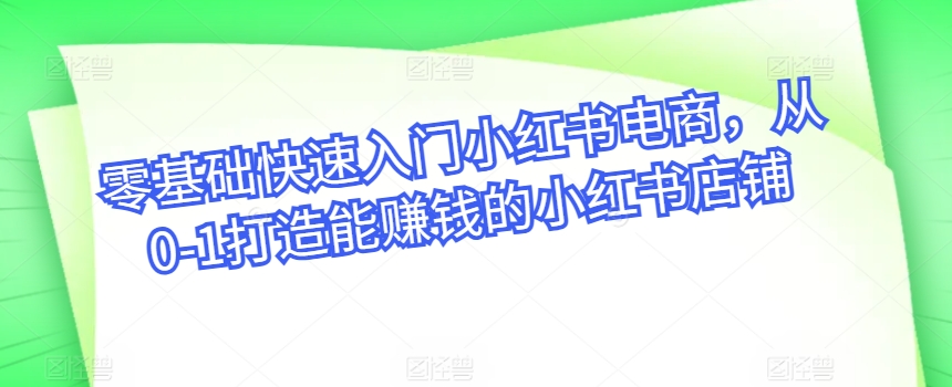 零基础快速入门小红书电商,从0-1打造能赚钱的小红书店铺|淘骐网赚资源库