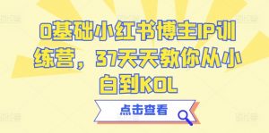 0基础小红书博主IP训练营,37天天教你从小白到KOL|淘骐网赚资源库